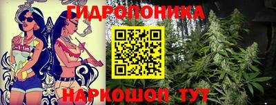 молекула духа Краснознаменск