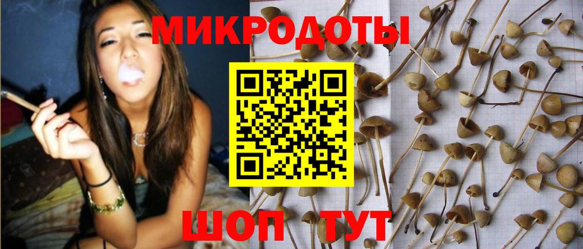 Когалым  Псилоцибиновые грибы Cubensis  Вход с VPN 